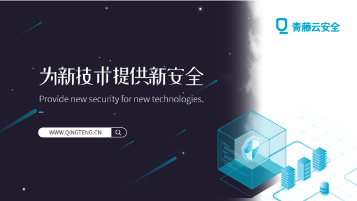 技术方案实施与项目管理